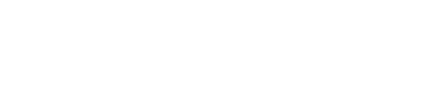 Logo of FlVE